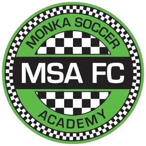 Bidhannagar MSA