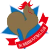 Shanghai Shenxin(2003-2020)