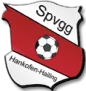 SpVgg Hankofen-Hailing
