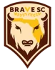Brave SC